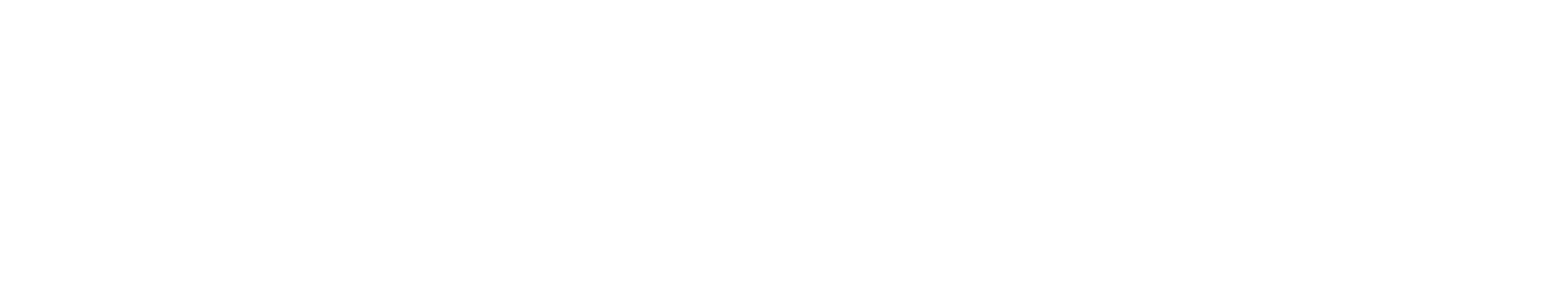 LN_Logo_Secondary_White.png